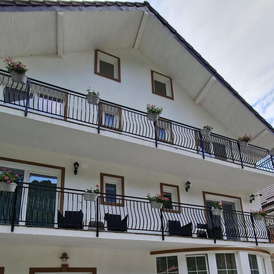 Hotel Casa Anne Băile Herculane Zewnętrze zdjęcie